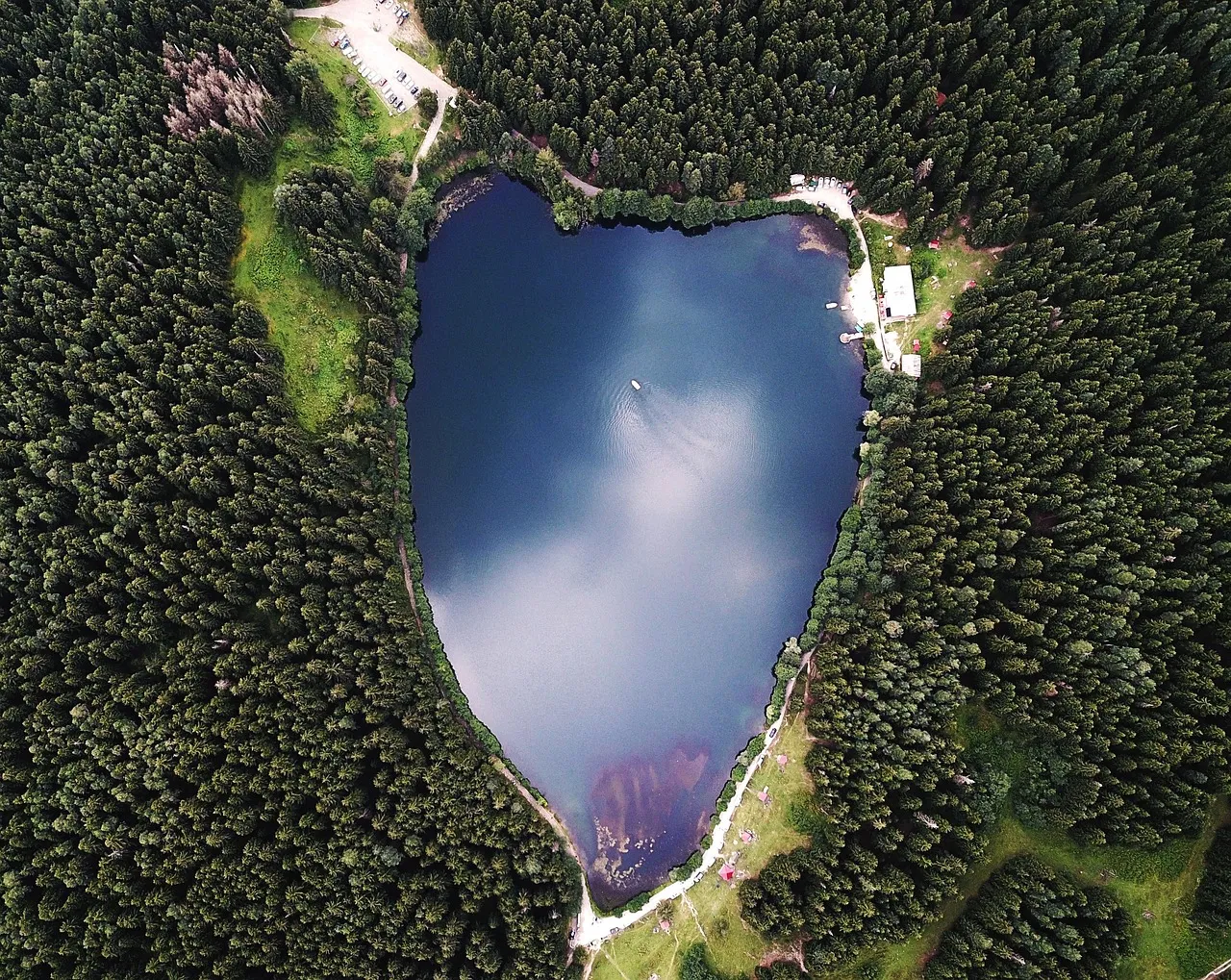Artvin