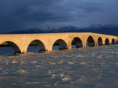 Muş